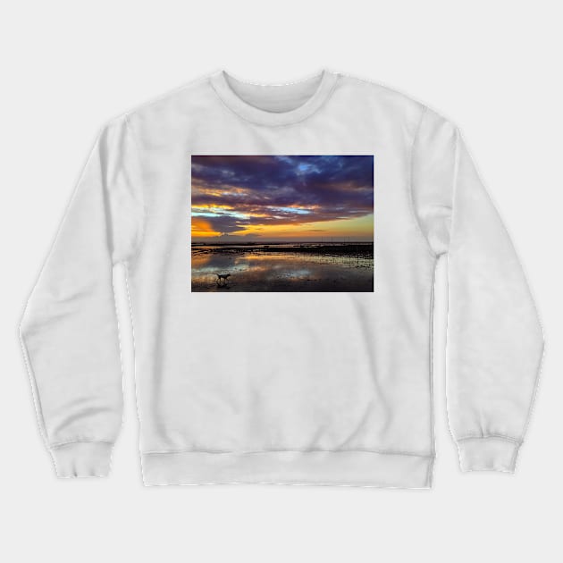 DOG ON THE SUNSET BEACH Crewneck Sweatshirt by likbatonboot